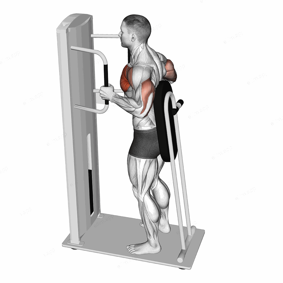 Lever Standing Chest Press exercise targeting Chest and Pectoralis Major Clavicular Head