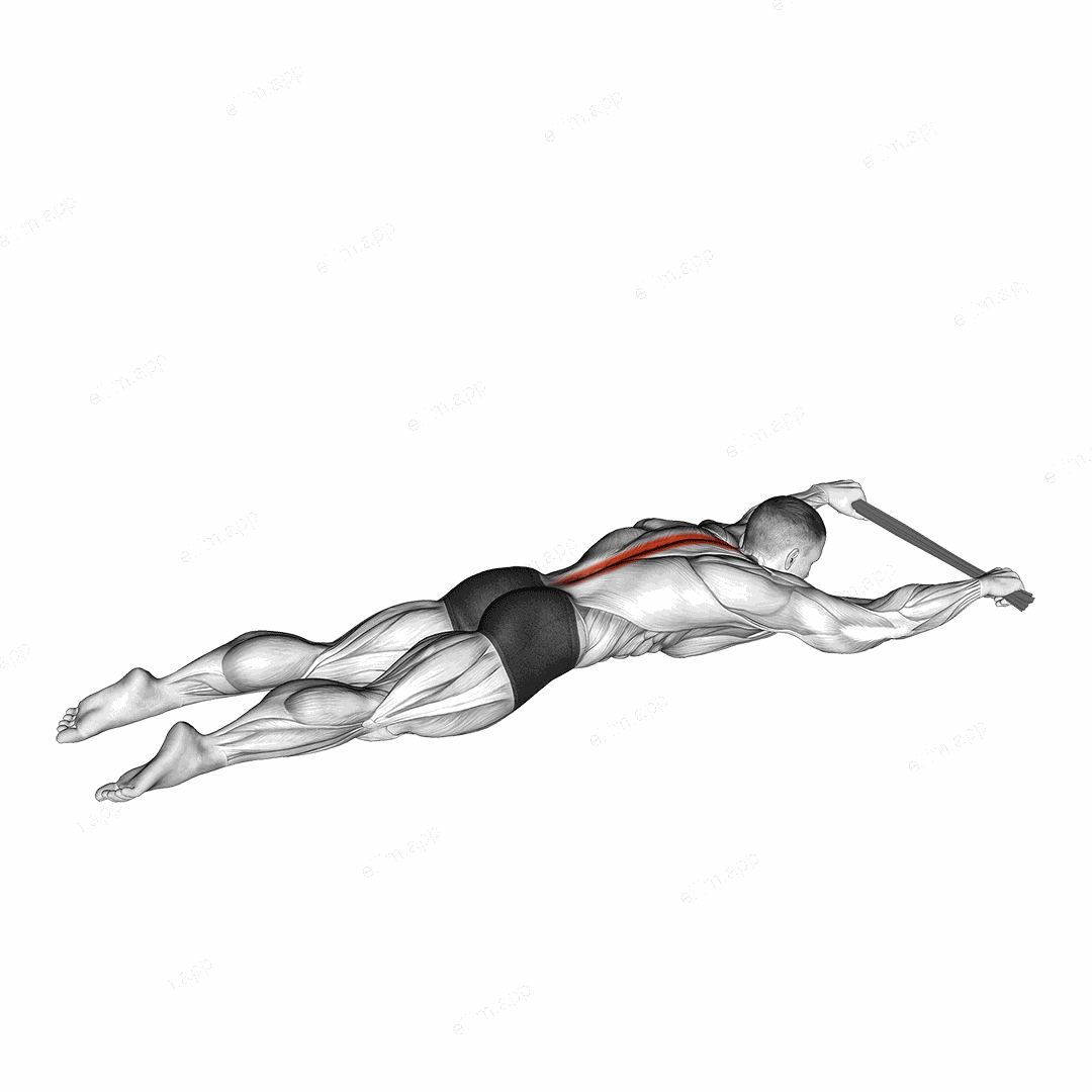 Lying Floor Hyperextension with Towel exercise targeting Hips and Erector Spinae