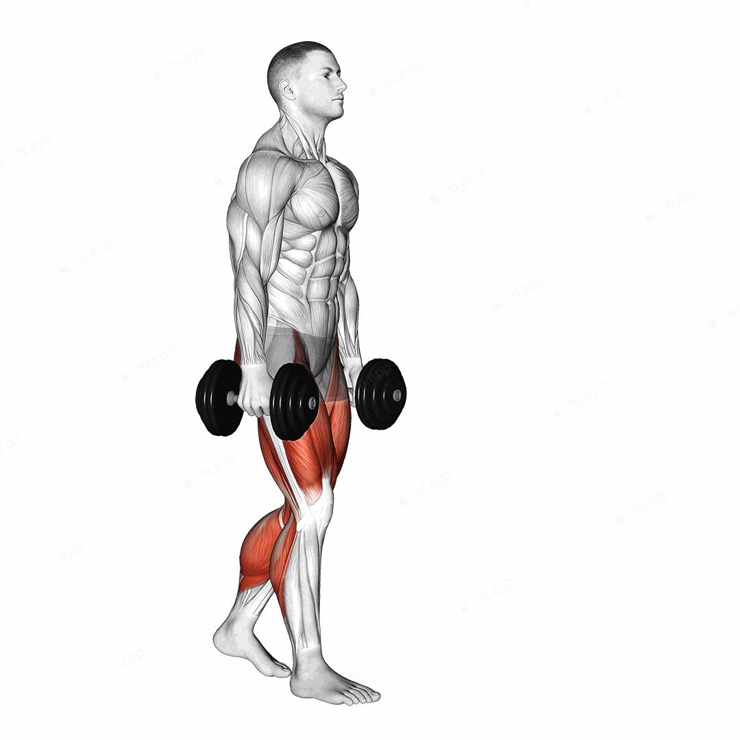 Dumbbell Farmers Carry exercise targeting Thighs