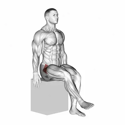 Hip - Medial Rotation (Internal Rotation) exercise targeting Hips
