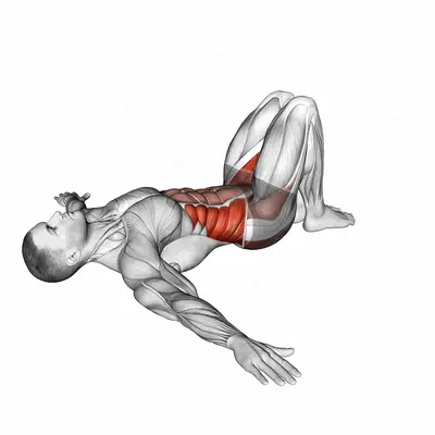 Supine Windshield Wipers exercise targeting Hips
