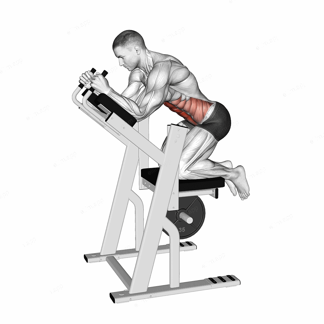 Lever Ab Swing exercise targeting Waist