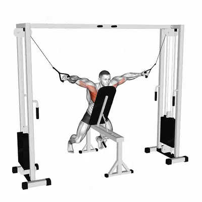 Cable Fly with Chest Supported exercise targeting Chest