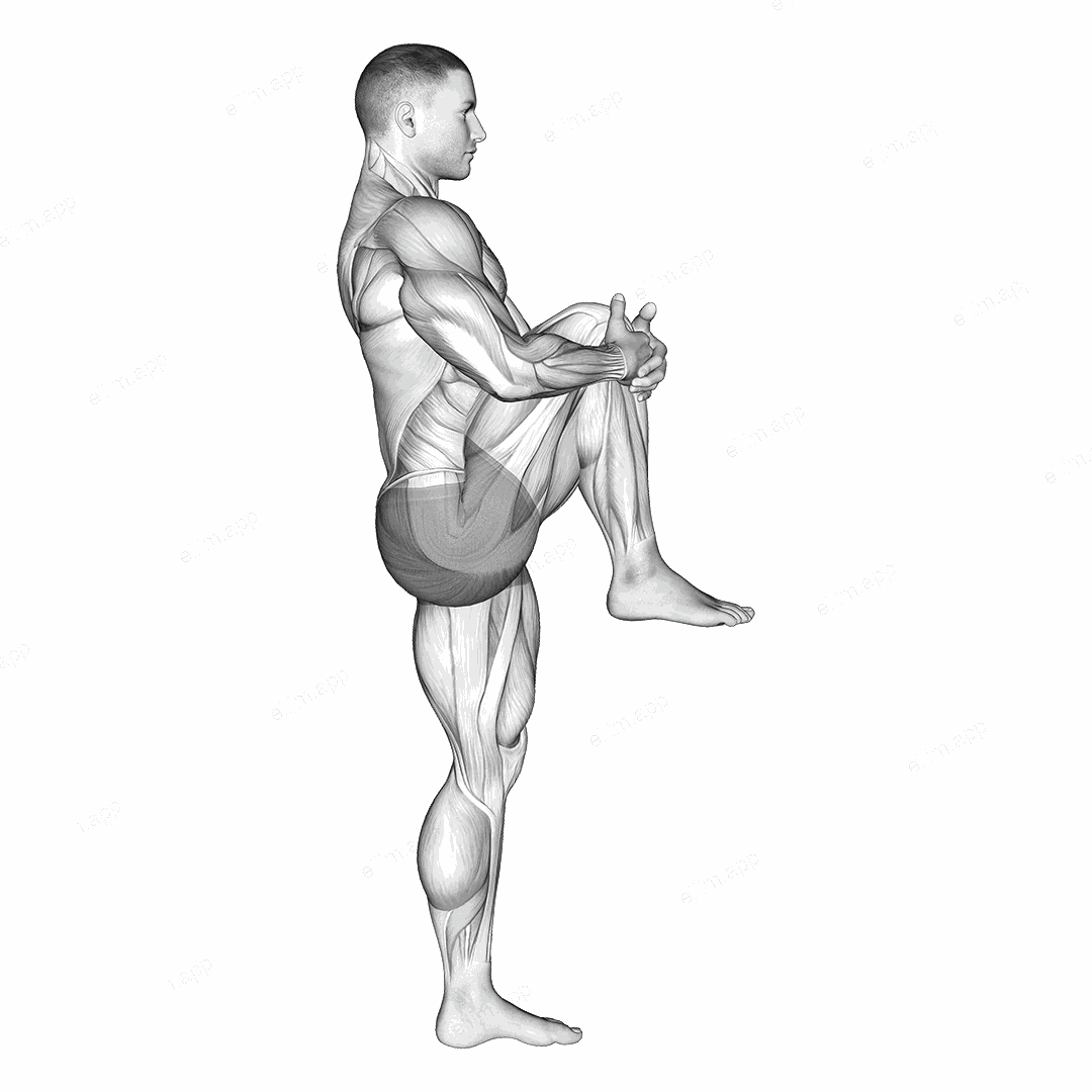 Standing Knee To Chest Stretch exercise targeting Hips