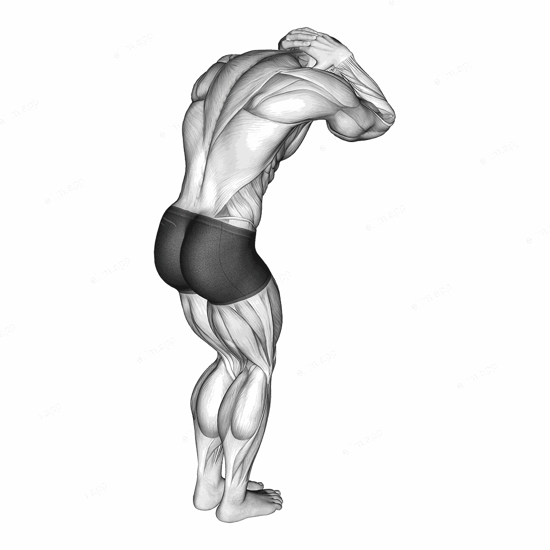 Trap and Neck Stretch exercise targeting Back