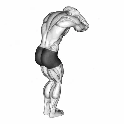 Trap and Neck Stretch exercise targeting Back