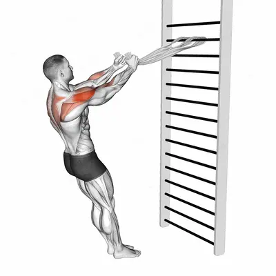 Standing Supinated Face Pull (with towels) exercise targeting Shoulders