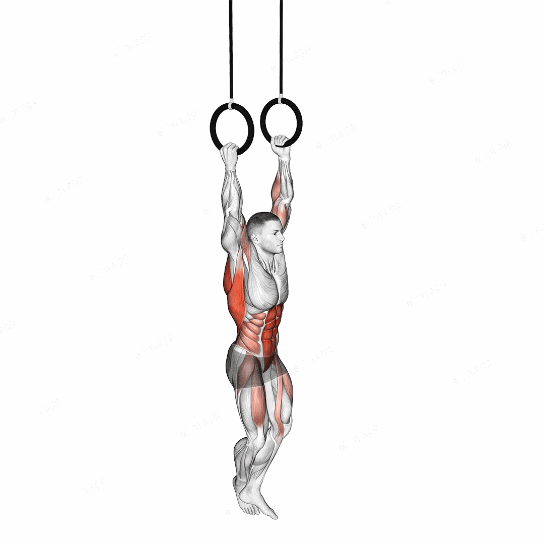 Leg Assisted Ring Pull-up exercise targeting Back