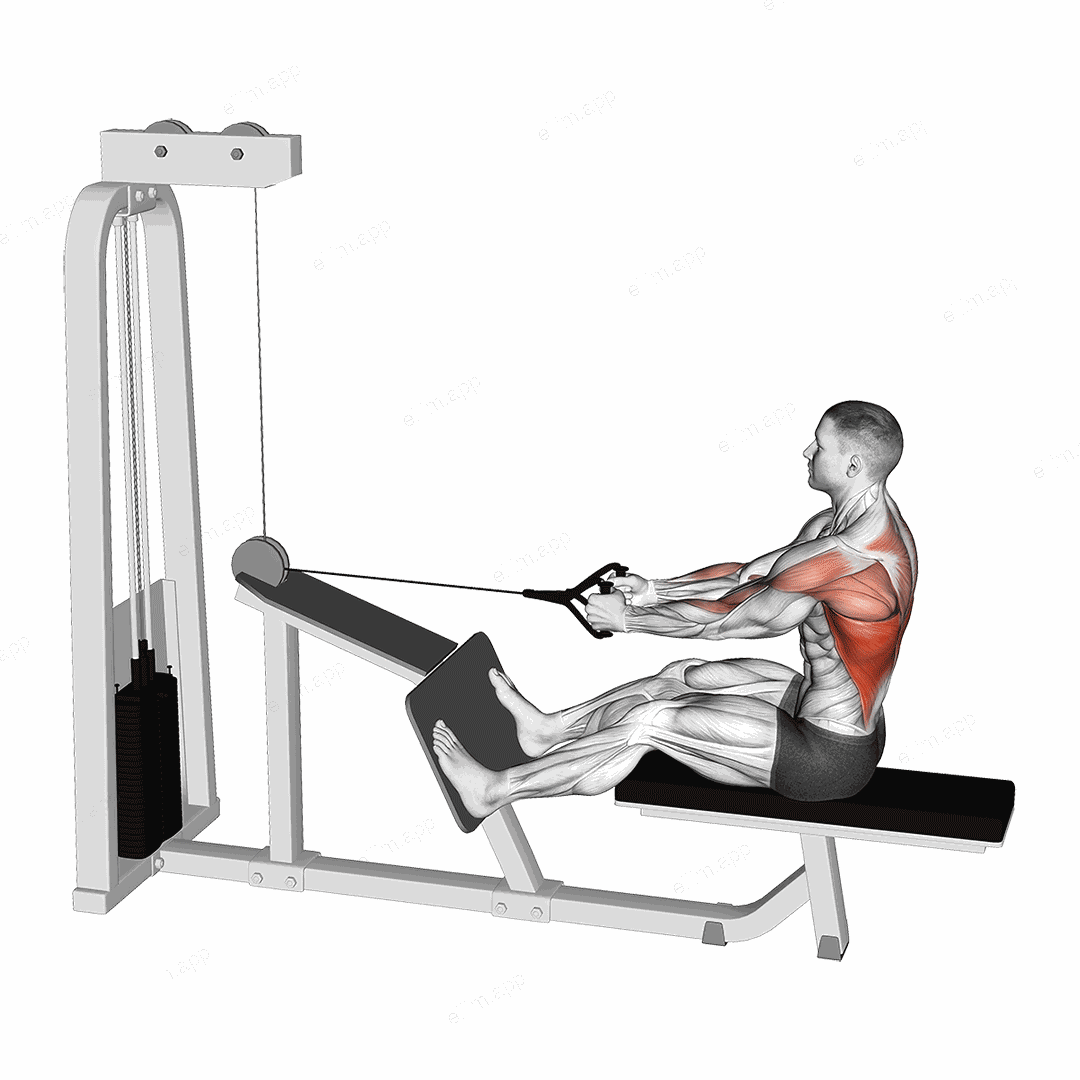 Cable Seated Lats Focused Row exercise targeting Back and Latissimus Dorsi