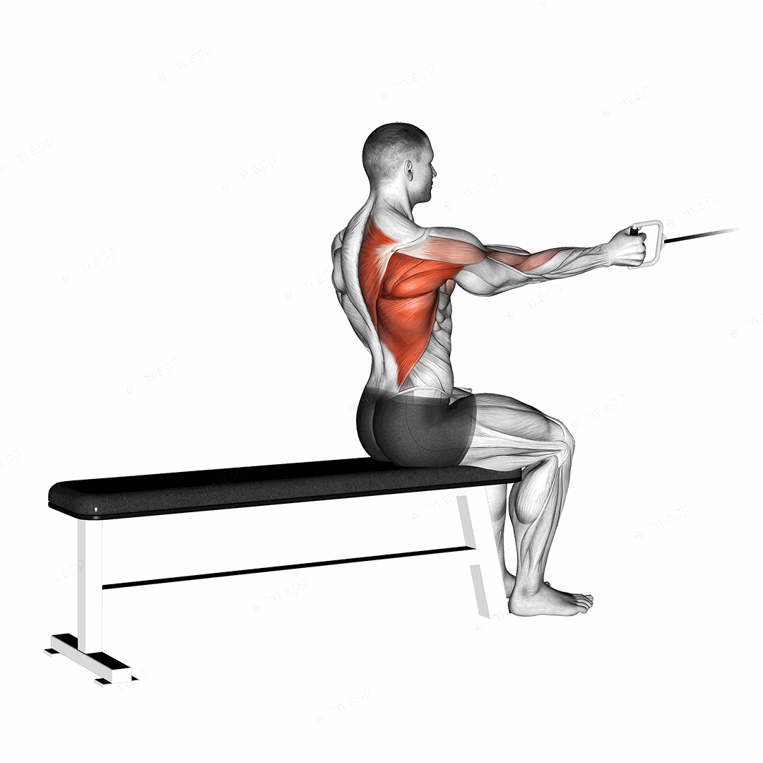 Cable Seated One Arm Alternate Row exercise targeting Back and Infraspinatus