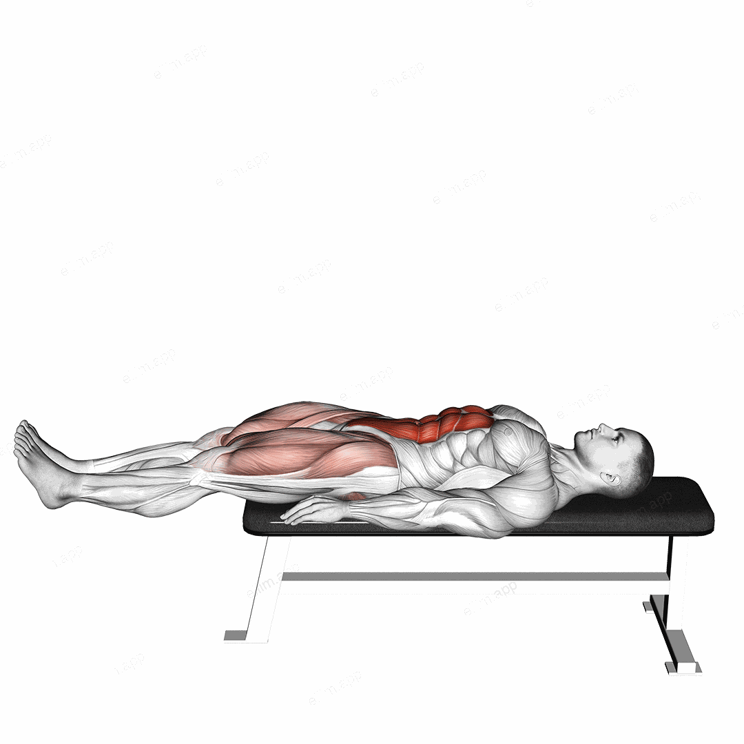 Lying Leg Raise Flat Bench exercise targeting Waist and Iliopsoas