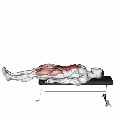 Lying Leg Raise Flat Bench exercise targeting Waist and Iliopsoas