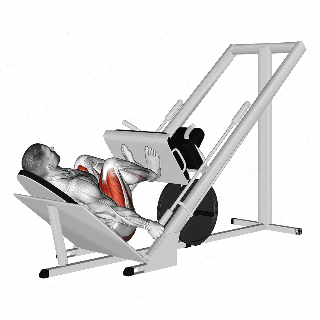 Sled 45ø Narrow Stance Leg Press exercise targeting Thighs and Gluteus Maximus
