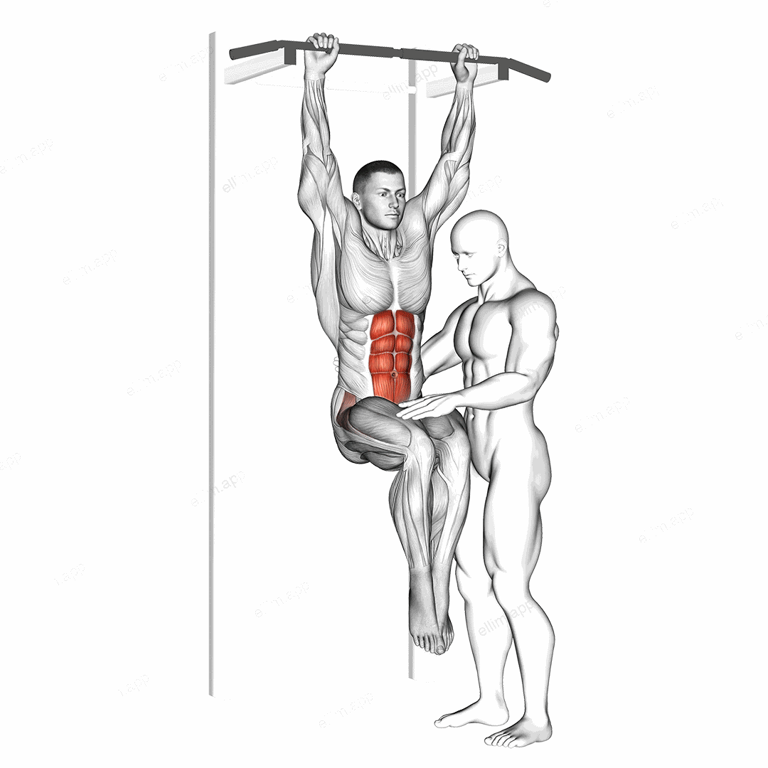 Assisted Hanging Knee Raise With Throw Down exercise targeting Waist and Iliopsoas