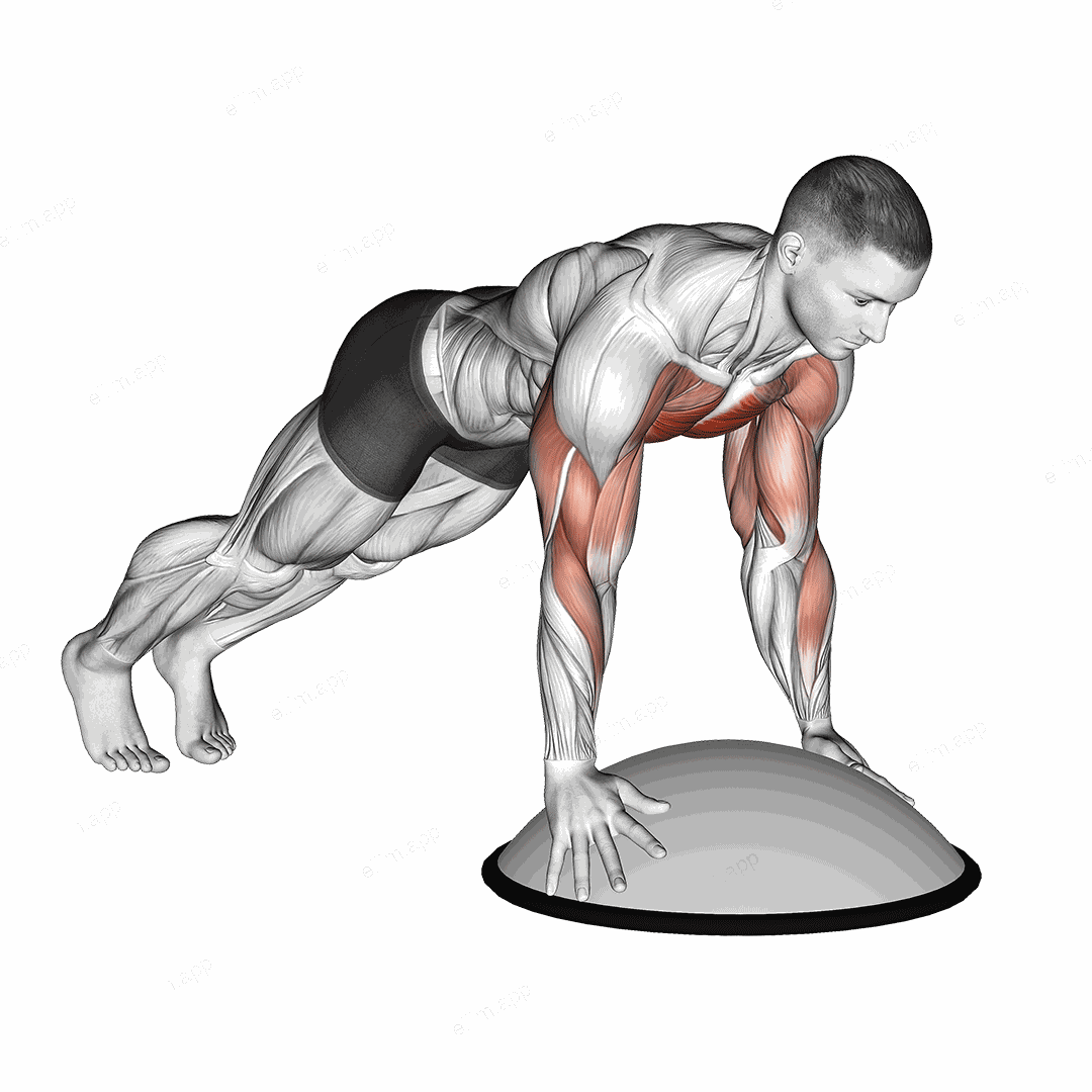 Push Up On Bosu Ball exercise targeting Chest