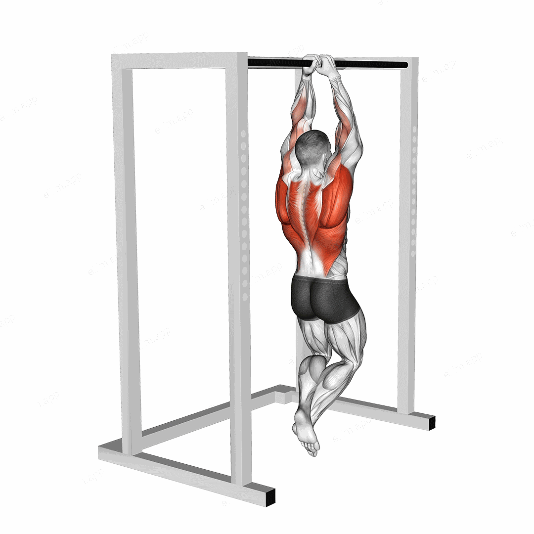 Commando Pull up exercise targeting Back and Waist