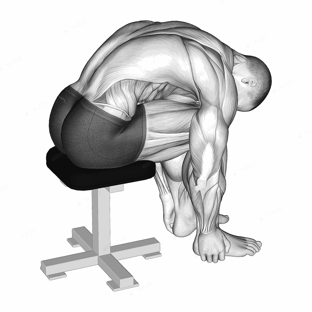 Sitting Lower Trunk Extensor Stretch exercise targeting Back