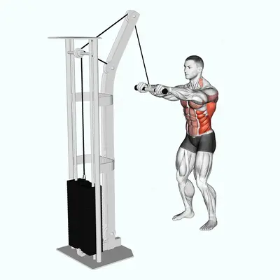 Cable Thibaudeau Kayak Row exercise targeting Latissimus Dorsi and Obliques
