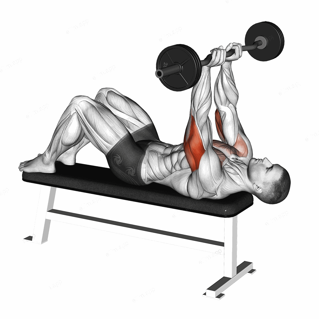 EZ Barbell JM Bench Press exercise targeting Upper Arms and Triceps Brachii