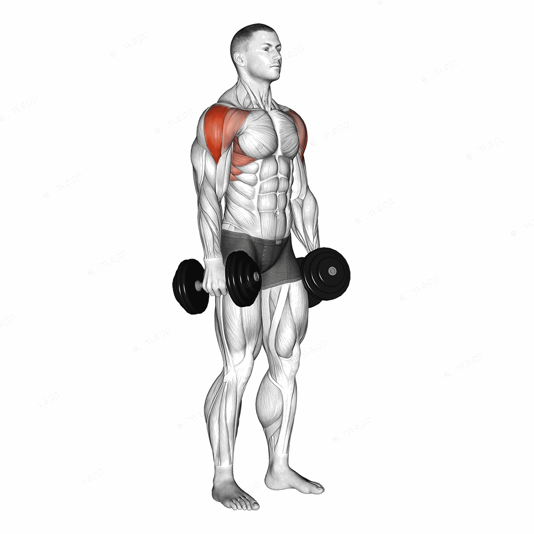 Dumbbell Lateral Raise exercise targeting Shoulders and Deltoid Lateral