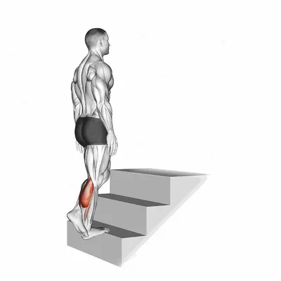 Standing Single Leg Calf Raise (On a staircase) exercise targeting Calves and Gastrocnemius