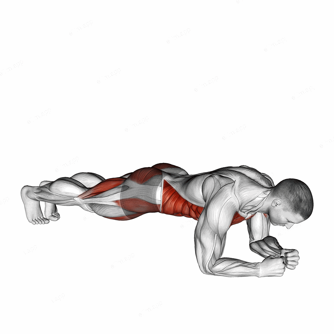 Leg Lift to Chest Front Plank exercise targeting Plyometrics