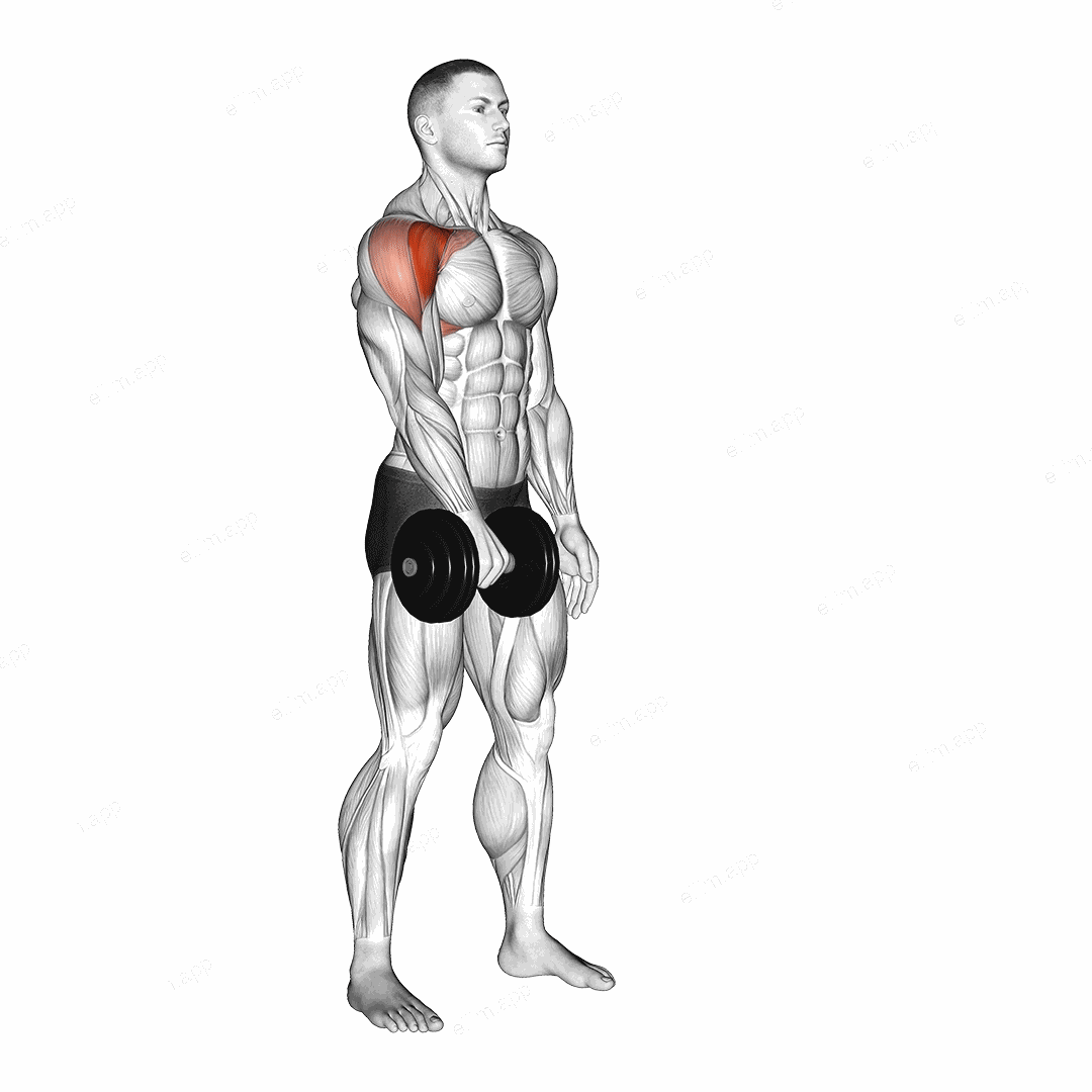 Dumbbell One Arm Front Raise exercise targeting Shoulders and Deltoid Anterior