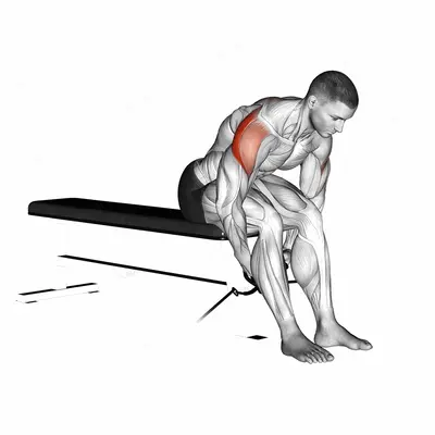 Cable Seated Rear Lateral Raise exercise targeting Shoulders and Deltoid Posterior