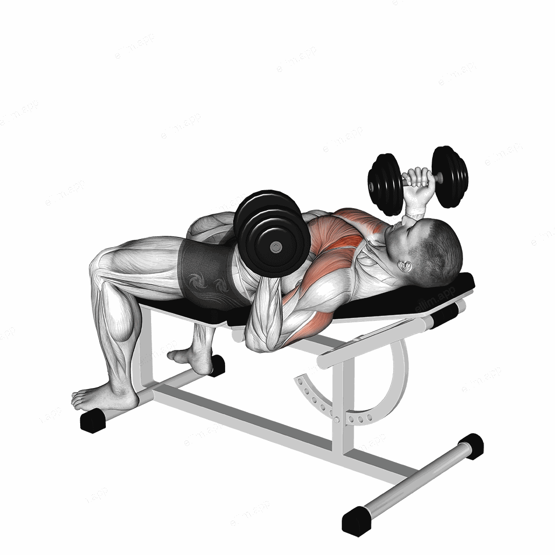 Dumbbell Incline reverse grip 30 degrees bench press exercise targeting Chest