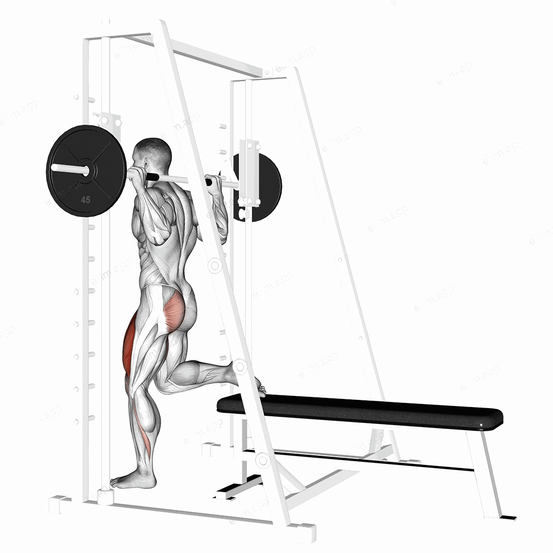 Smith Single Leg Split Squat exercise targeting Thighs and Gluteus Maximus