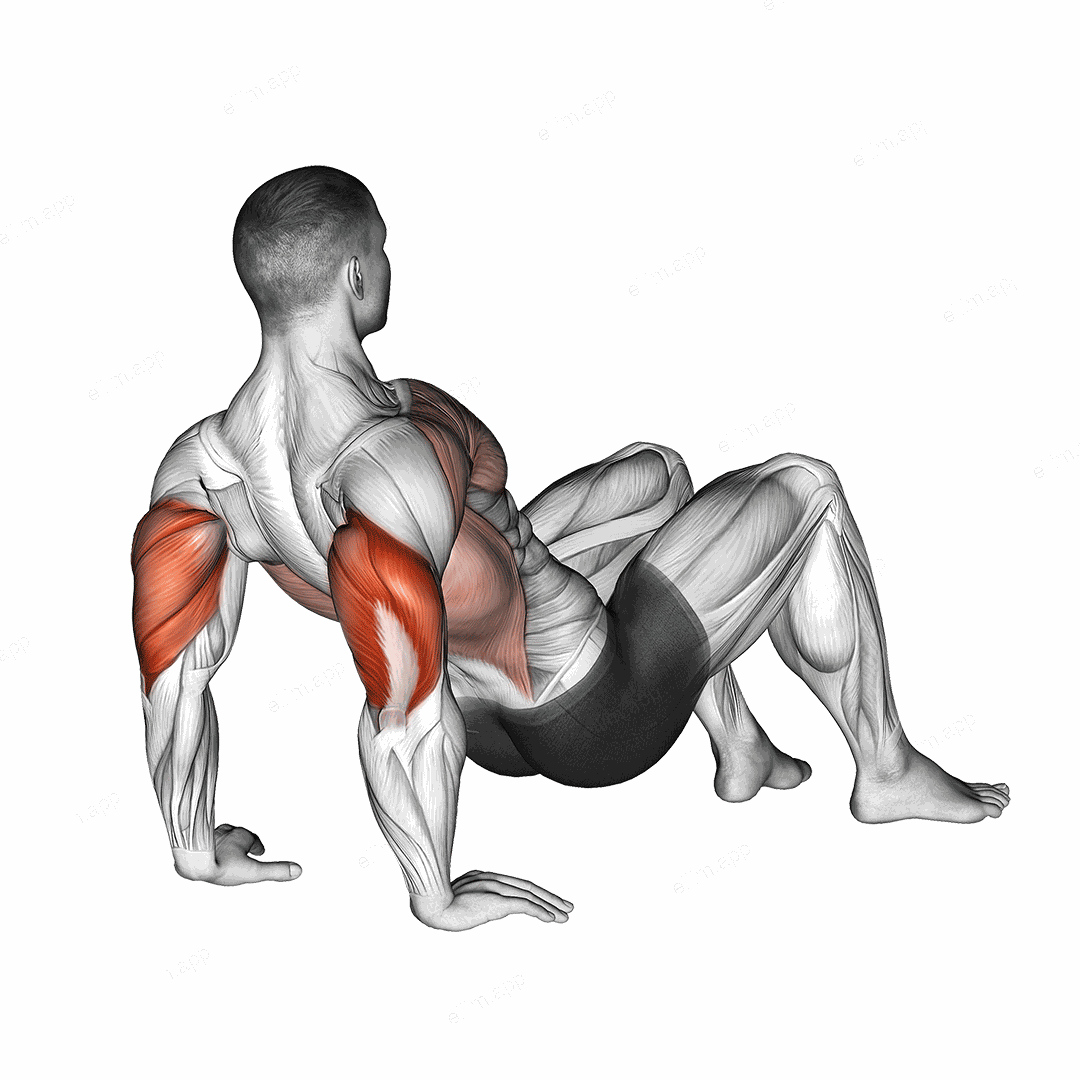 Triceps Dips Floor exercise targeting Upper Arms and Triceps Brachii