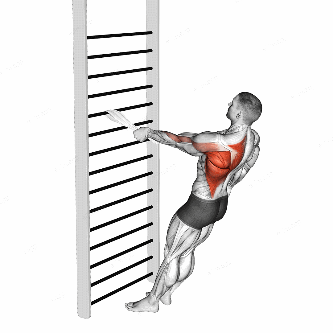 Bodyweight Standing One Arm Row (with towel) exercise targeting Back and Infraspinatus