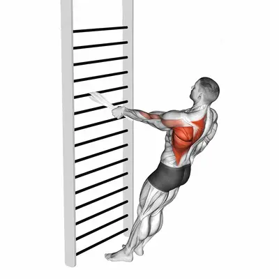Bodyweight Standing One Arm Row (with towel) exercise targeting Back and Infraspinatus