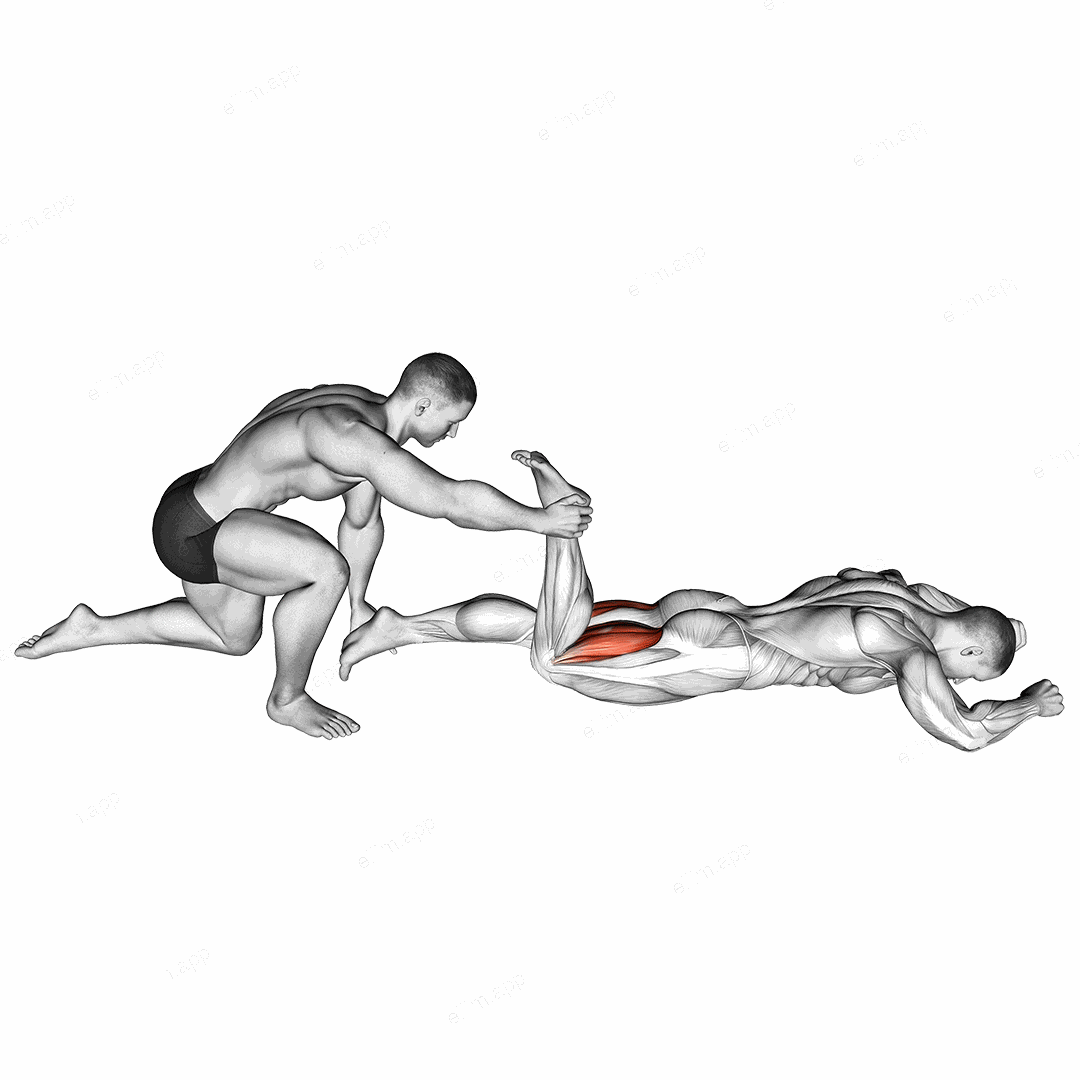 Assisted Prone Hamstring exercise targeting Thighs and Hamstrings