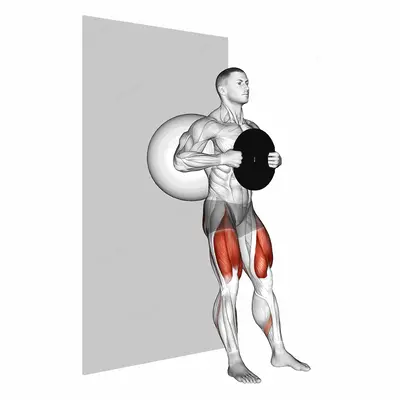 Weighted Exercise Ball Wall Squat exercise targeting Thighs