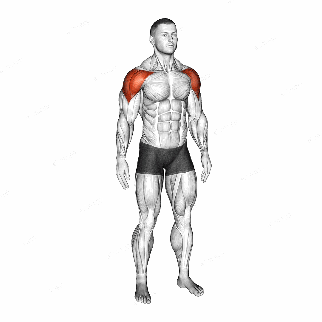 Mid Air Lateral Raises With Switching Palms exercise targeting Shoulders and Deltoid Lateral