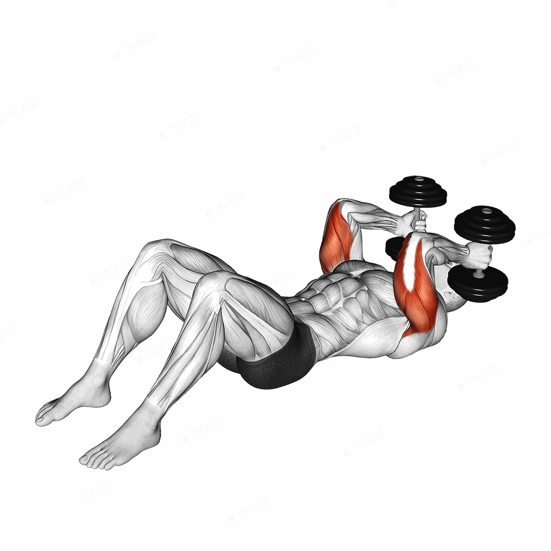 Dumbbell Lying Floor Skullcrusher exercise targeting Upper Arms