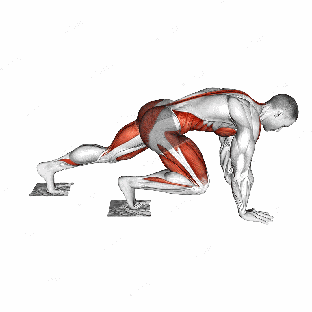 Mountain Climber Slide with Towel exercise targeting Plyometrics