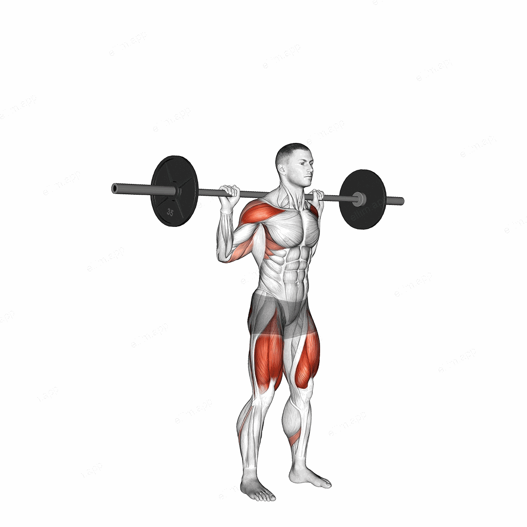 Barbell Behind the Back Push Press exercise targeting Weightlifting and Deltoid Anterior