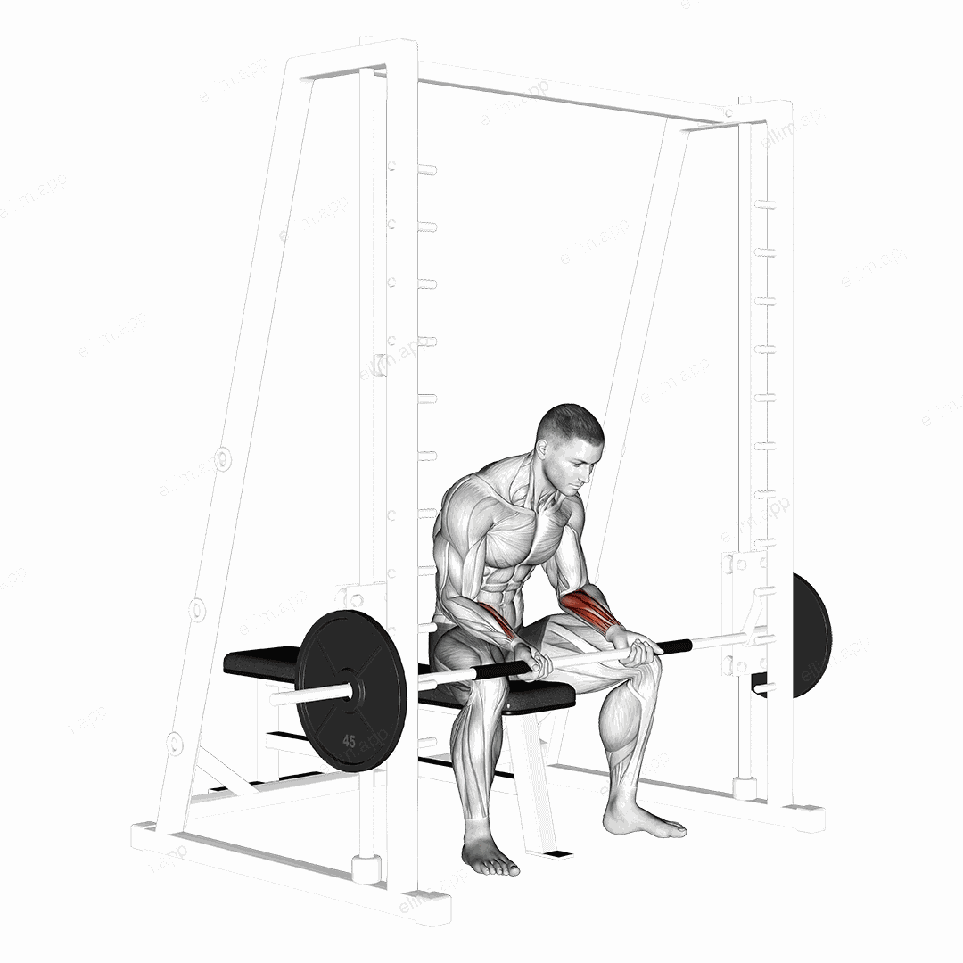 Smith Seated Wrist Curl exercise targeting Forearms and Wrist Flexors