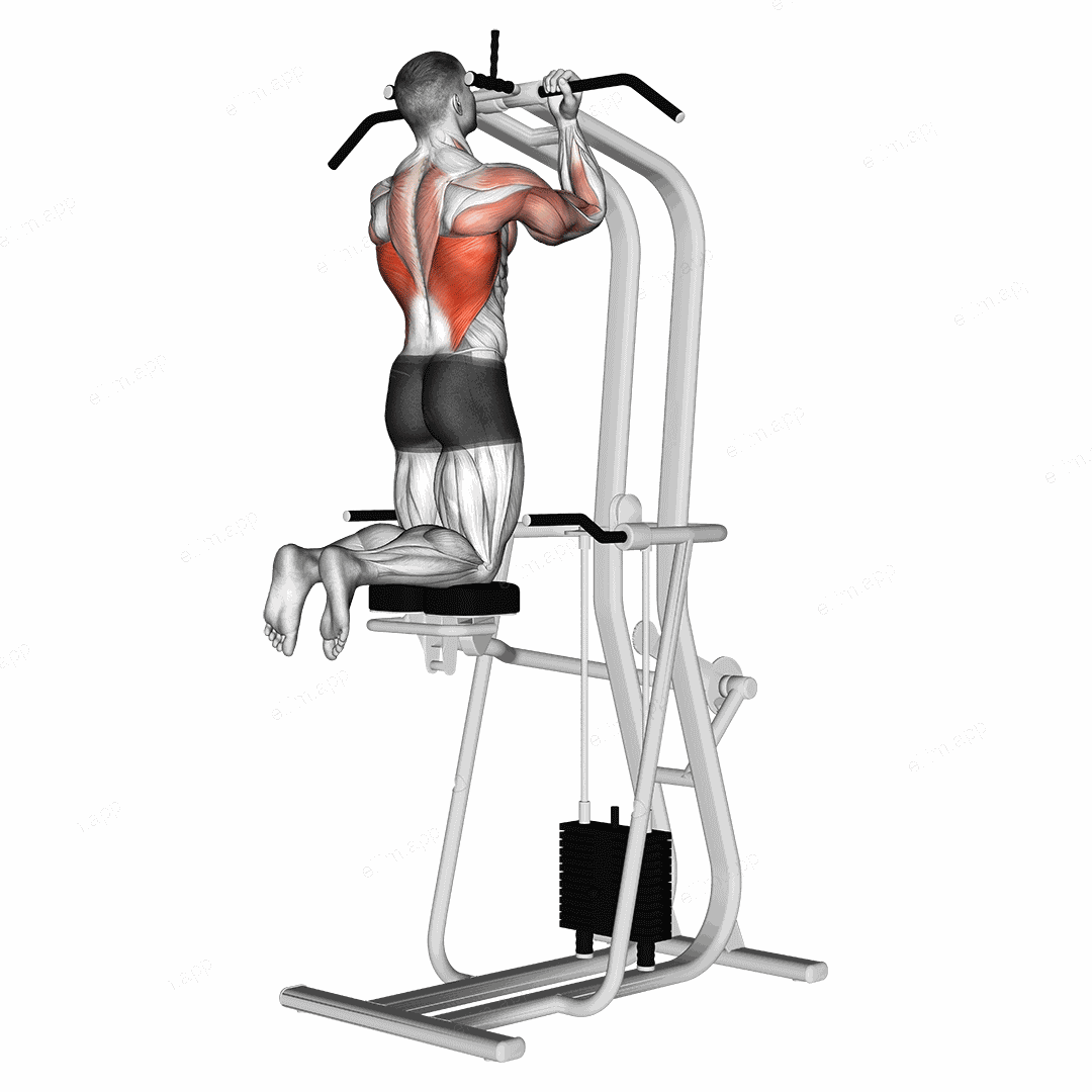 Assisted Close grip Underhand Chin up exercise targeting Back
