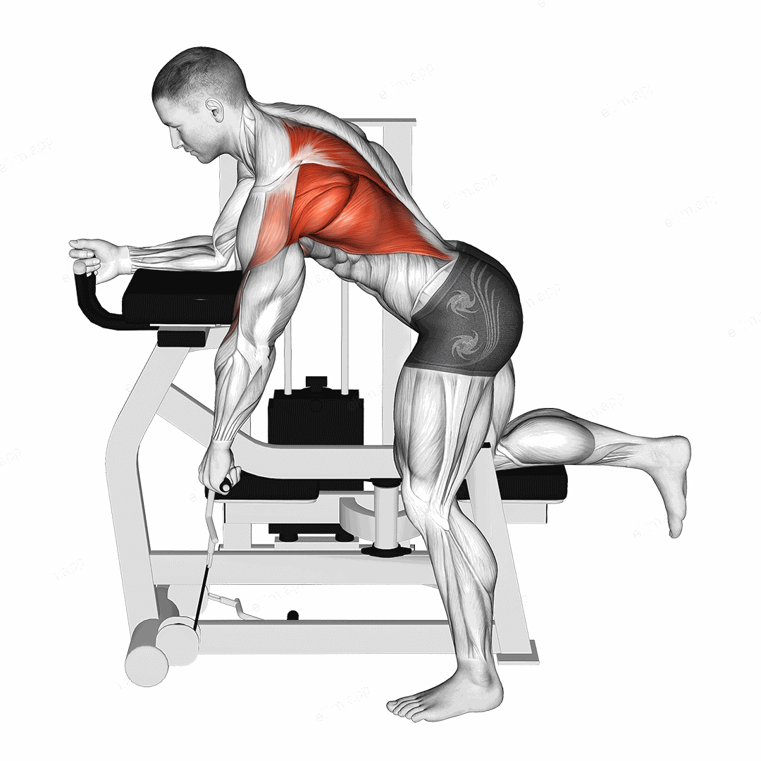 Lever Unilateral Row exercise targeting Back and Infraspinatus