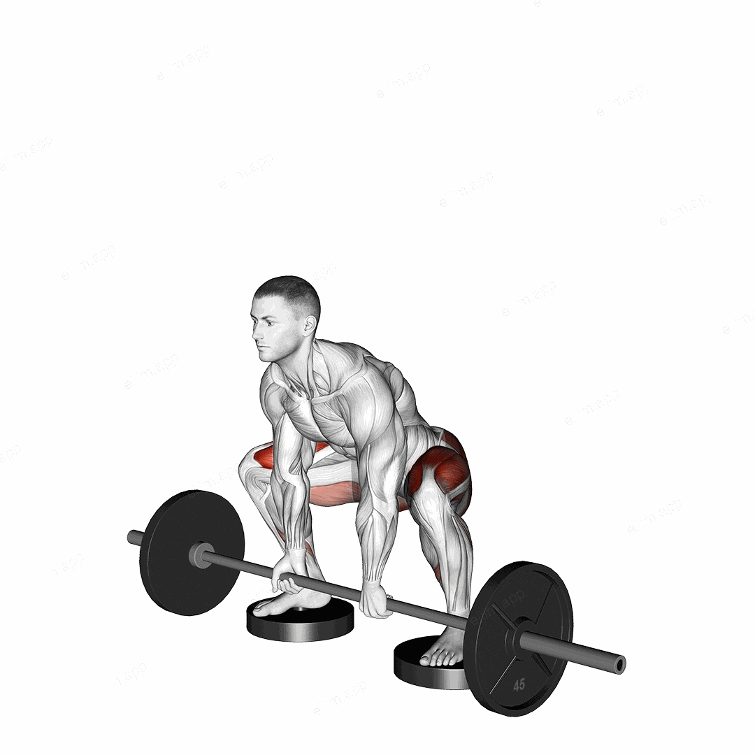 Barbell Sumo Deadlift from Deficit exercise targeting Hips