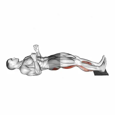 Sliding Leg Curl on Floor with Towel exercise targeting Thighs and Gluteus Maximus