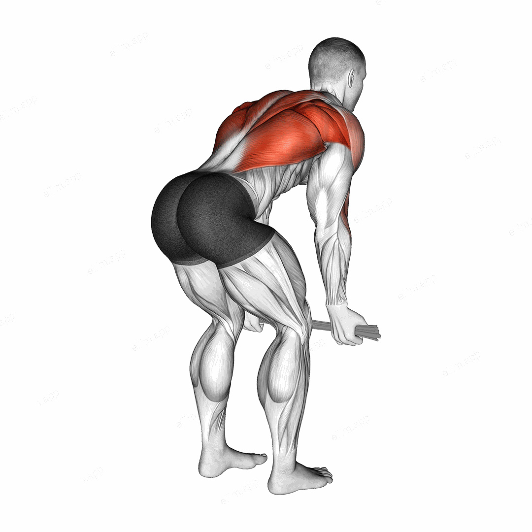 Bent over Row with Towel exercise targeting Back