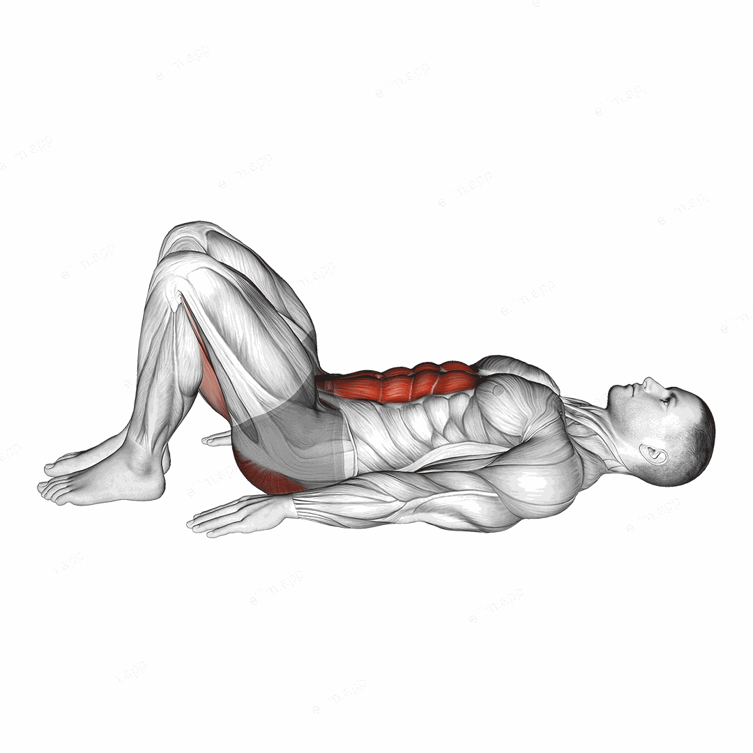 Pelvic Tilt exercise targeting Waist and Gluteus Maximus