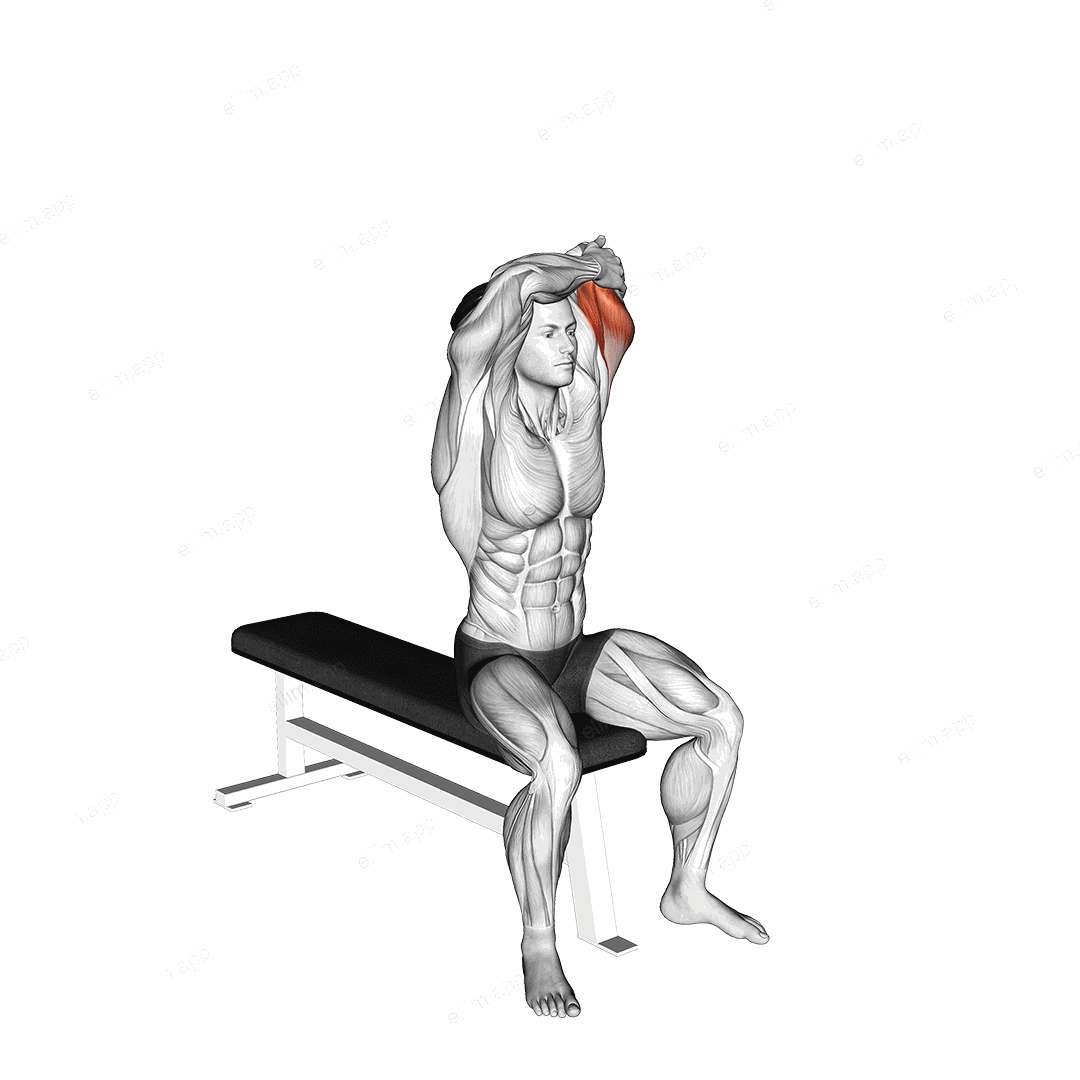 Dumbbell Seated Single Arm Overhead Triceps Extension (left) exercise targeting Upper Arms
