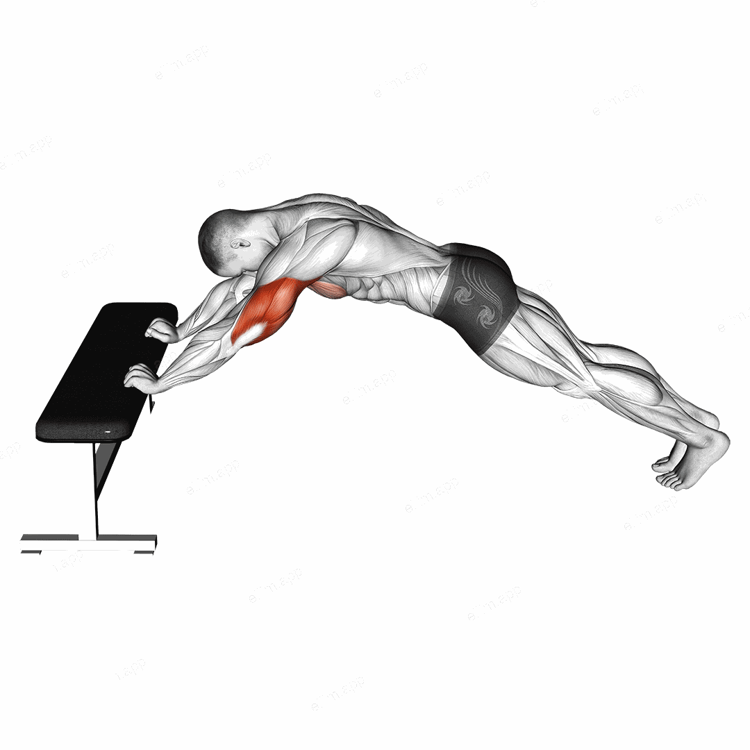 Triceps Press (Head Below Bench) exercise targeting Upper Arms and Triceps Brachii