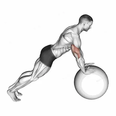 Push up (on stability ball) exercise targeting Chest