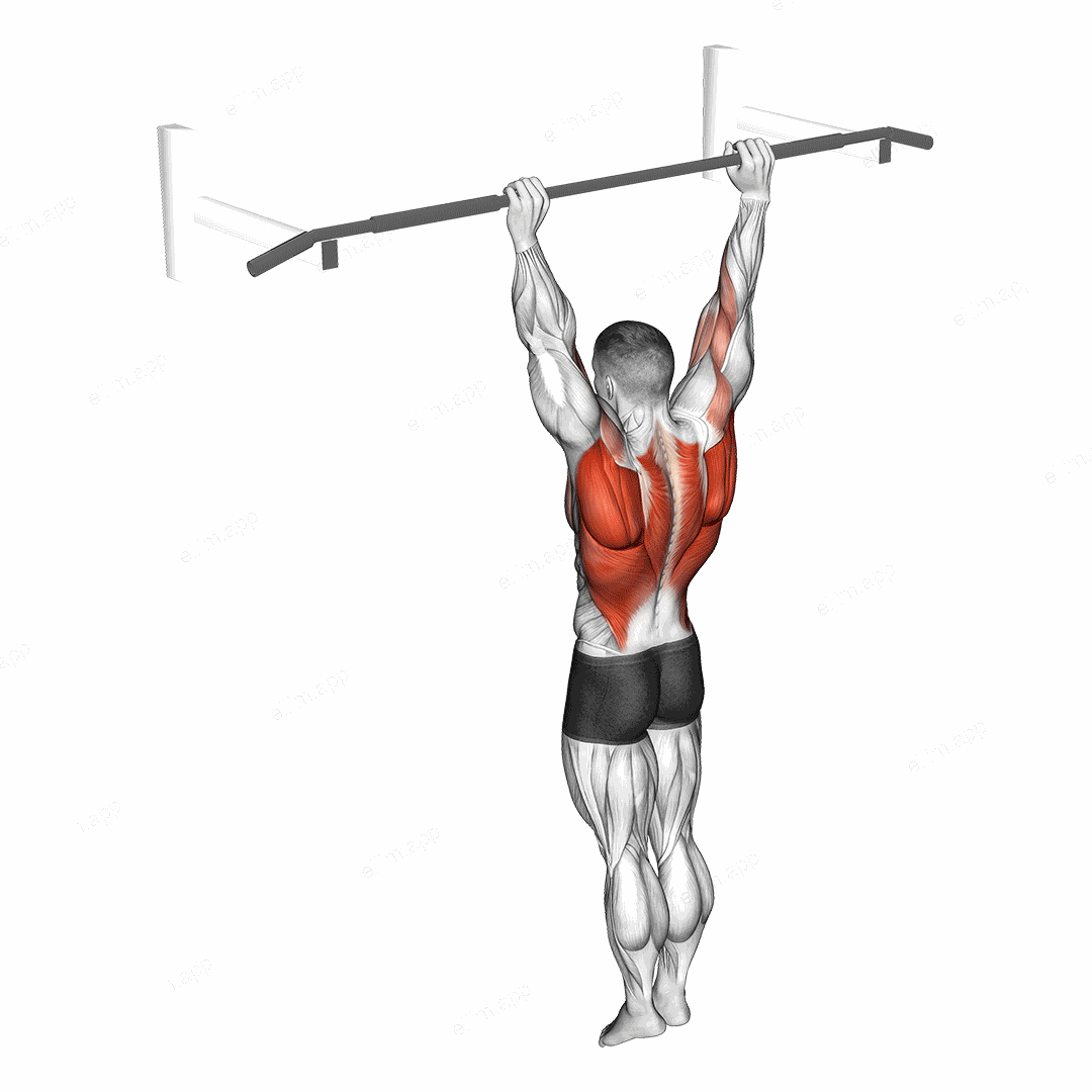 Archer Pull-up exercise targeting Back
